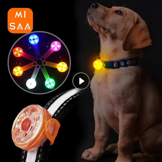 LED Dog Collar: Keep Your Pet Safe and Visible